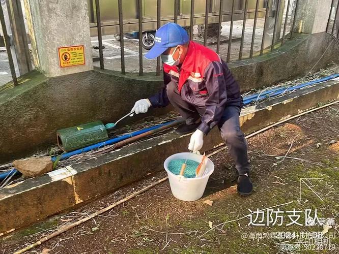 2024年11月8日海南鸿霖生物科技出动防制员对临高县临城镇