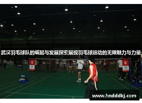 武汉羽毛球队的崛起与发展探索展现羽毛球运动的无限魅力与力量